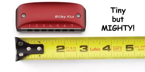 Baby Fat Harmonica - Image 4