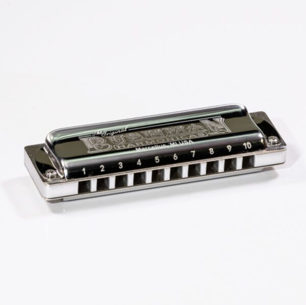 Delta Frost Steelie Harmonica