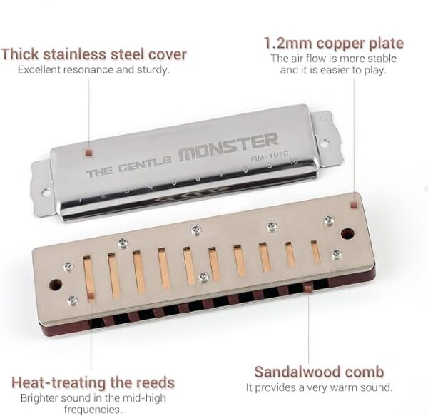 JDR Gentle Monster Harmonica - Image 4